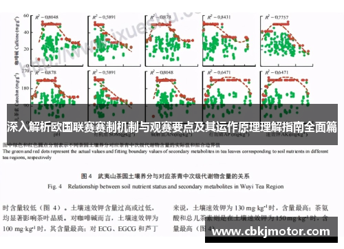 深入解析欧国联赛赛制机制与观赛要点及其运作原理理解指南全面篇