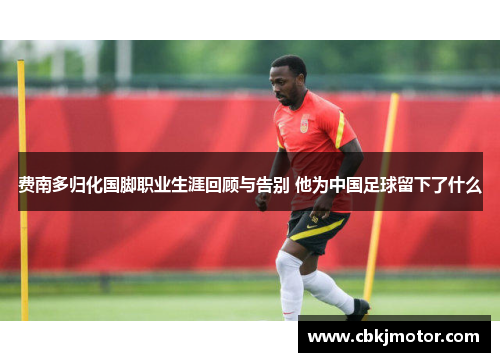 费南多归化国脚职业生涯回顾与告别 他为中国足球留下了什么