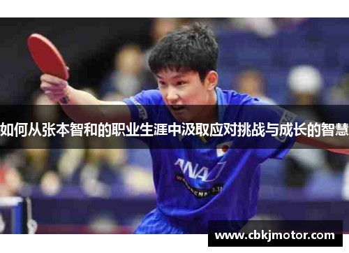 如何从张本智和的职业生涯中汲取应对挑战与成长的智慧